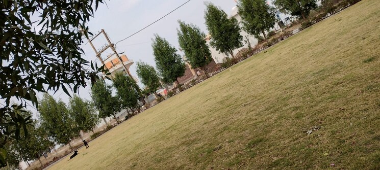 Garden, ringnodiya  600 Sq.Yd. Plot In Ringnodiya Indore 8615769