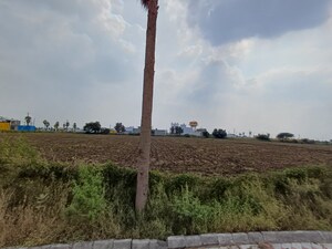 Plot Area in  Plot at Ringnodiya – for Sale