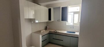 Kitchen in 3 BHK Apartment at ROF Amaltas, Sector 92 – for Rent