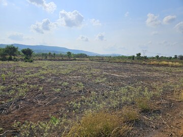  Land For Sale in Mangaon