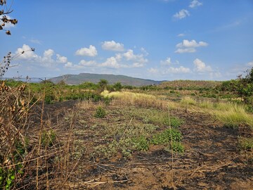 Plot Area in  Land at Mangaon – for Sale