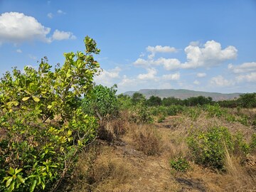 Plot Area in  Land at Mangaon – for Sale