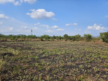 Plot Area in  Land at Mangaon – for Sale