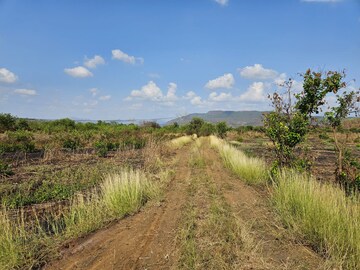 Plot Area in  Land at Mangaon – for Sale