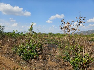 Plot Area in  Land at Mangaon – for Sale