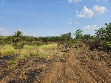 Plot Area in  Land at Mangaon – for Sale