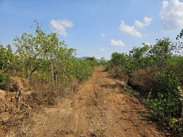 Plot Area in  Land at Mangaon – for Sale