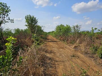 Plot Area in  Land at Mangaon – for Sale