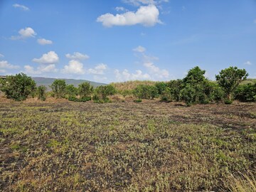 Plot Area in  Land at Mangaon – for Sale