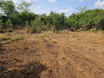 Plot Area in  Land at Mangaon – for Sale
