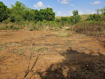 Plot Area in  Land at Mangaon – for Sale