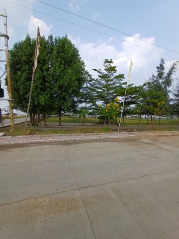 Plot Area in  Plot at Ringnodiya – for Sale