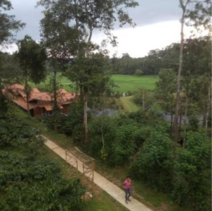  Land – Garden View at Madikeri - for Sale