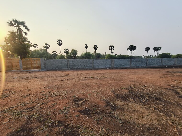 Exterior View, namburu  3396 Sq.Yd. Plot In Namburu Guntur 8615938