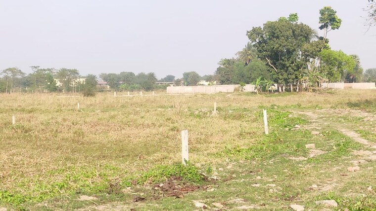 undefined, joka  2880 Sq.Ft. Plot In Joka Kolkata 8615972