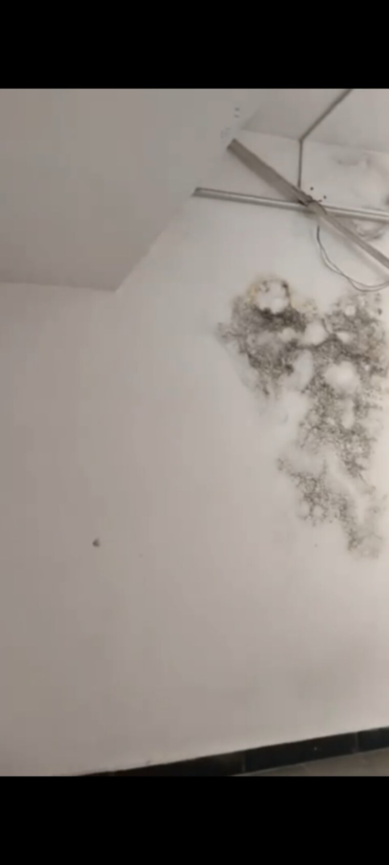 Room, banjara hills 2 Bedroom 272 Sq.Yd. Independent House In Banjara Hills Hyderabad 8616128