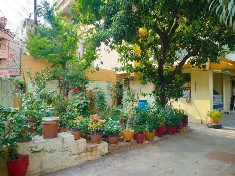 Garden, banjara hills 4 Bedroom 300 Sq.Yd. Independent House In Banjara Hills Hyderabad 8616129