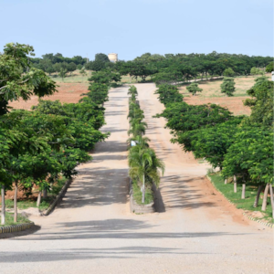 Others in  Plot at Fortune Crystal, Amangal – for Sale