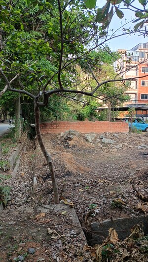 Plot Area in  Plot at Akshayanagar – for Sale