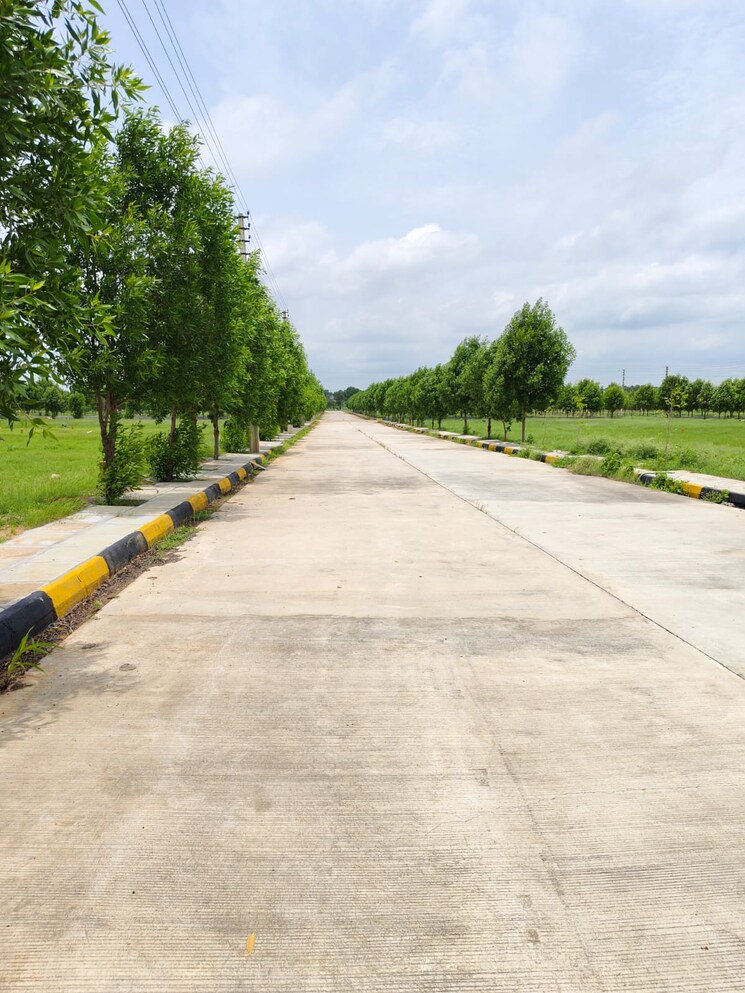 Garden, srika-lr-song-of-the-south  202 Sq.Yd. Plot In Mansanpalle Hyderabad 8616654