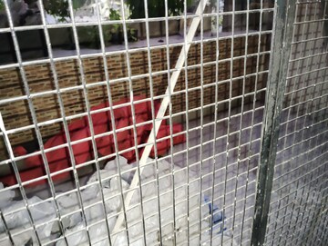 Balcony in 2.5 BHK Builder Floor at Kalkaji – for Rent