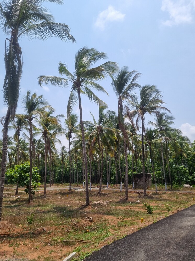 Exterior View, malampuzha 3 Bedroom 960 Sq.Ft. Villa In Malampuzha Palakkad 8617019