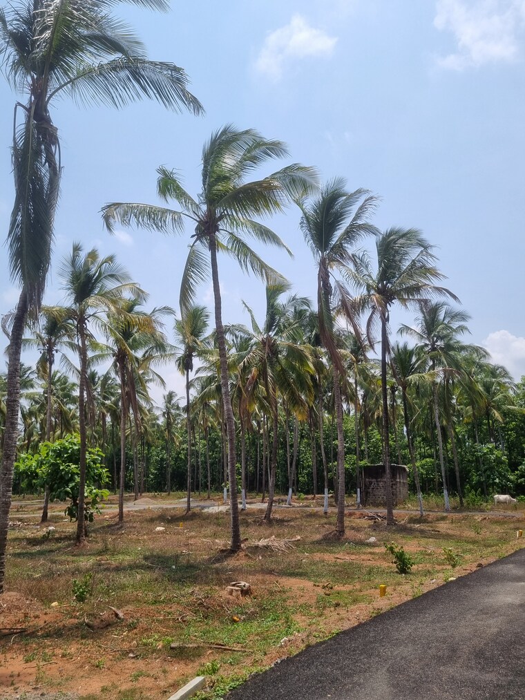 Exterior View, malampuzha 3 Bedroom 960 Sq.Ft. Villa In Malampuzha Palakkad 8617019