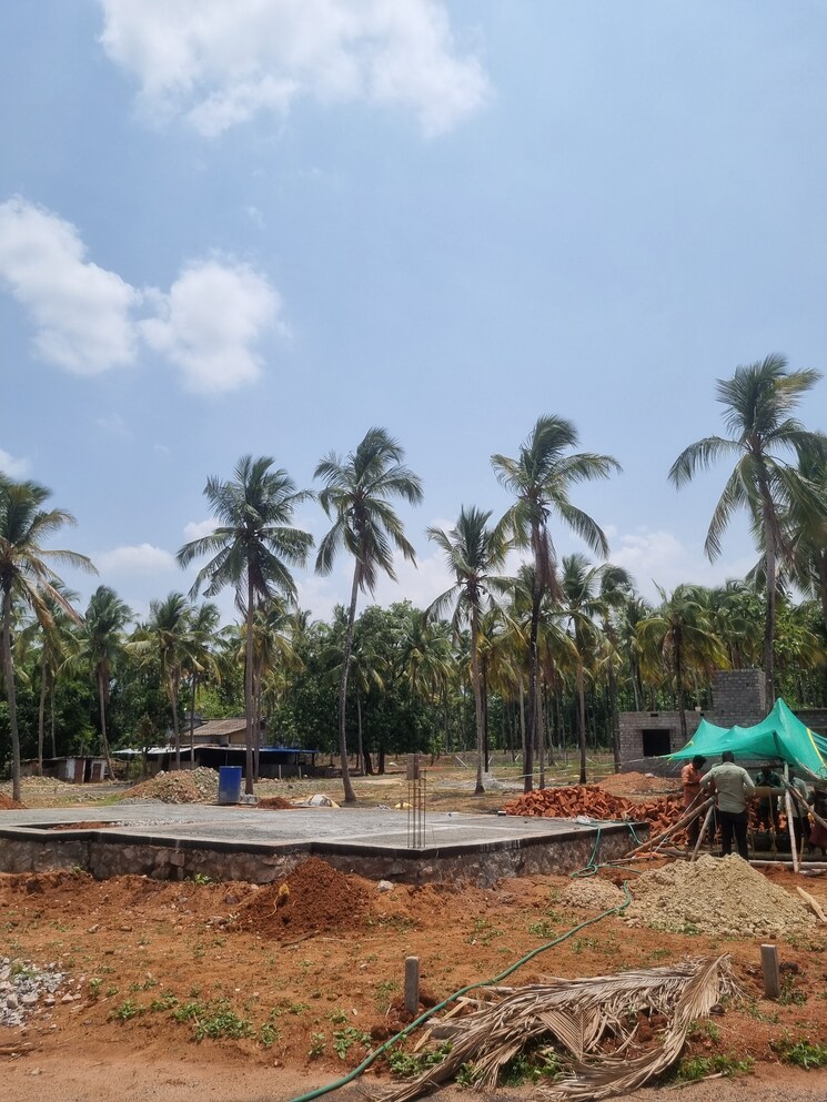 Exterior View, malampuzha 3 Bedroom 960 Sq.Ft. Villa In Malampuzha Palakkad 8617019