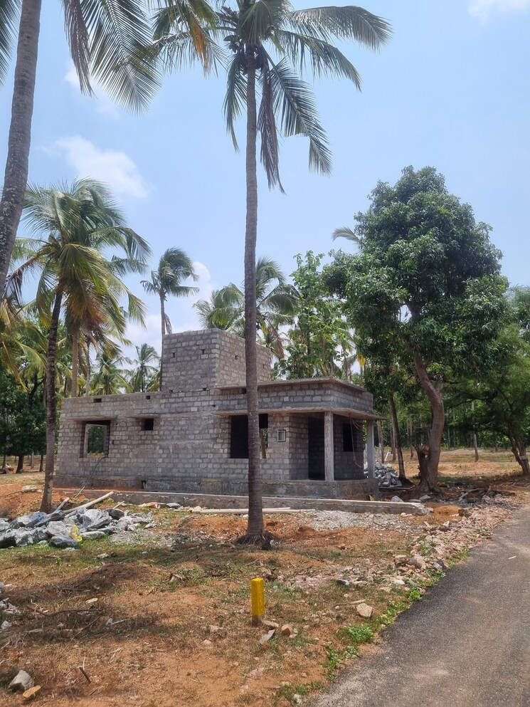 Exterior View, malampuzha 3 Bedroom 960 Sq.Ft. Villa In Malampuzha Palakkad 8617019