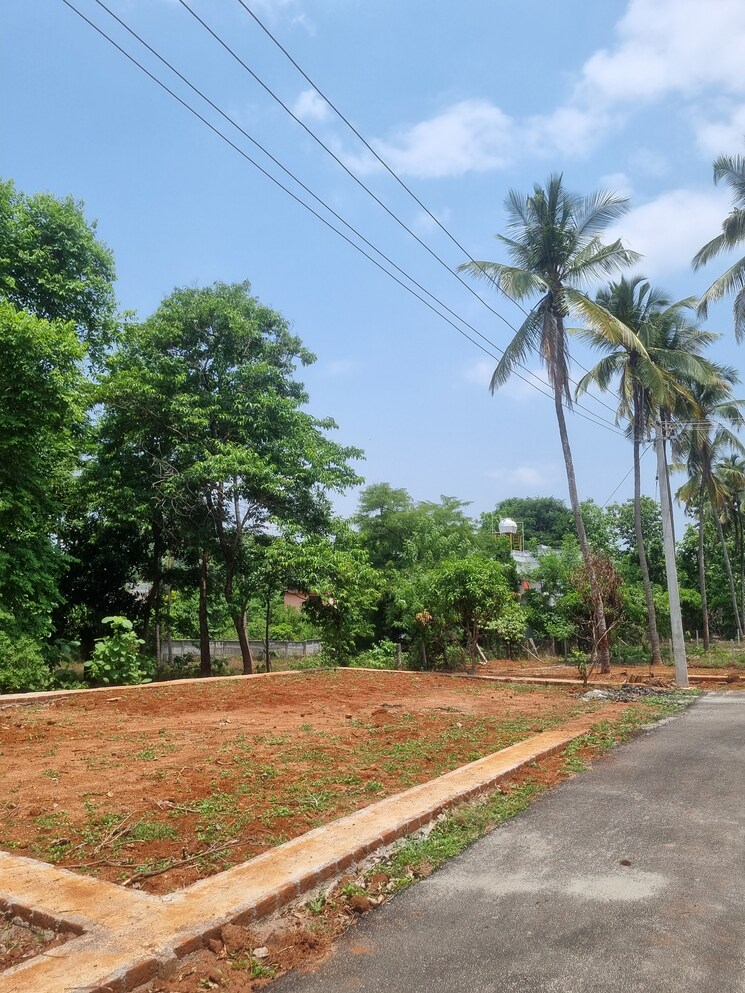 Exterior View, malampuzha 3 Bedroom 960 Sq.Ft. Villa In Malampuzha Palakkad 8617019