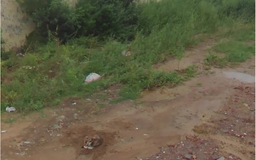 Plot For Sale in Sunrise Colony