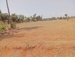 200 Sq.Yd. Plot in Bhogapuram Real Estates 
