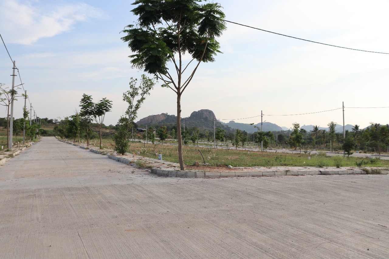 Plot For Sale in Eureka