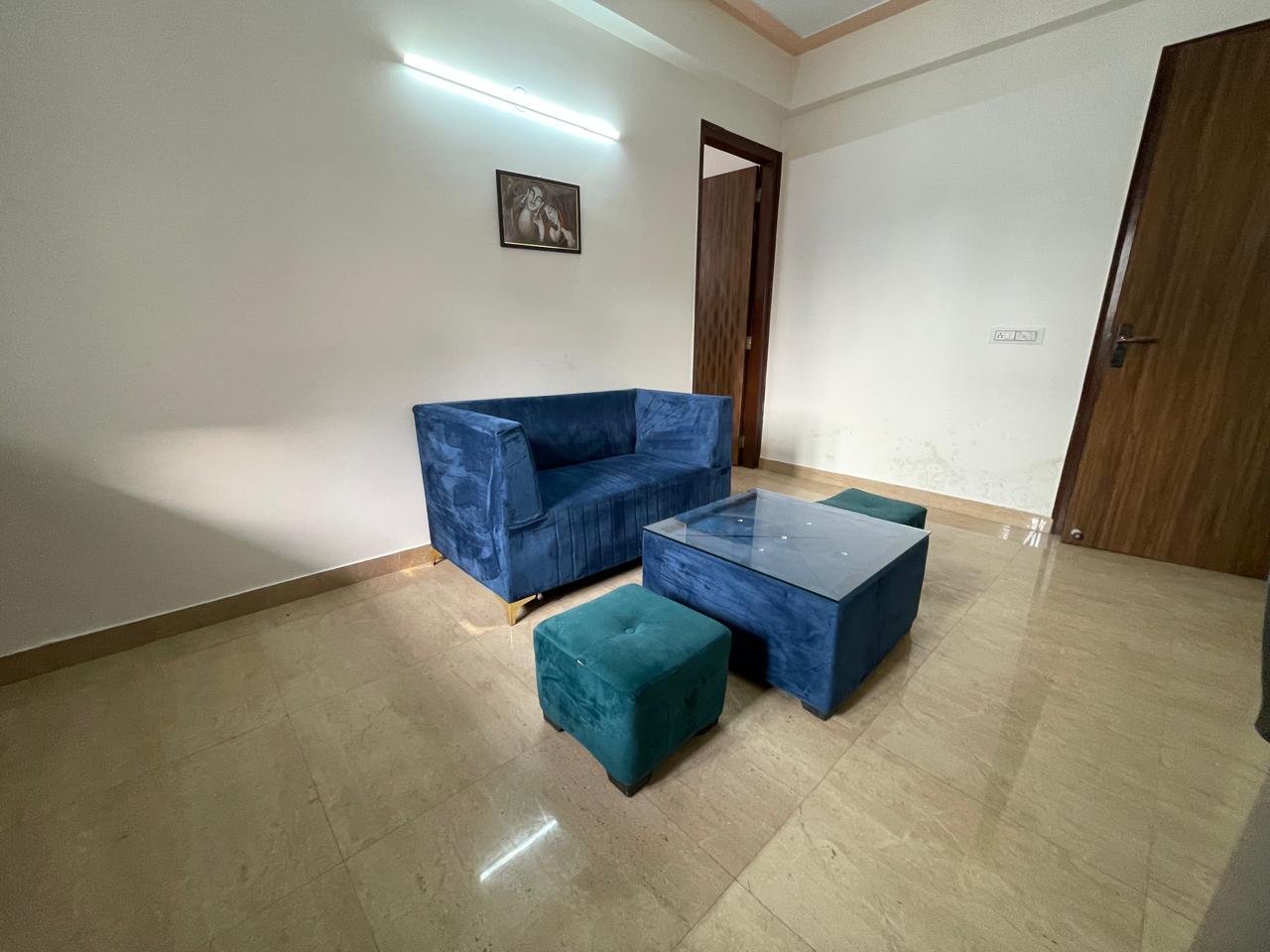 1 BHK Apartment For Rent in Ardee City