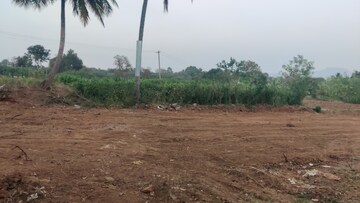 Plot Area in  Plot at Bagepalli – for Sale