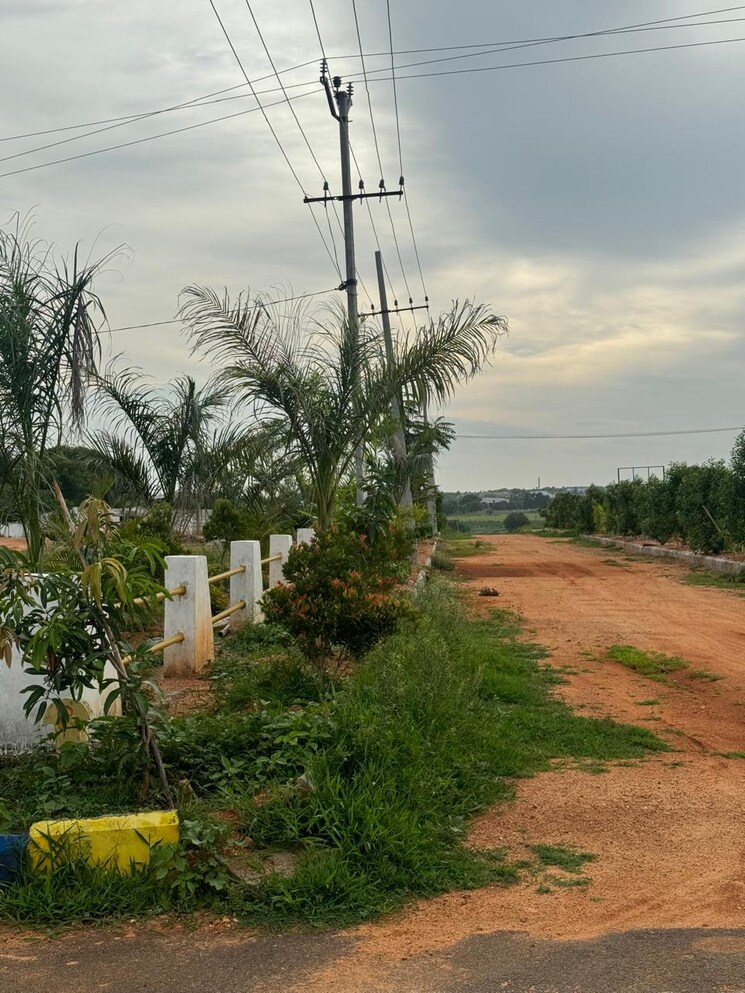 Garden, shadnagar  150 Sq.Yd. Plot In Shadnagar Hyderabad 8617772