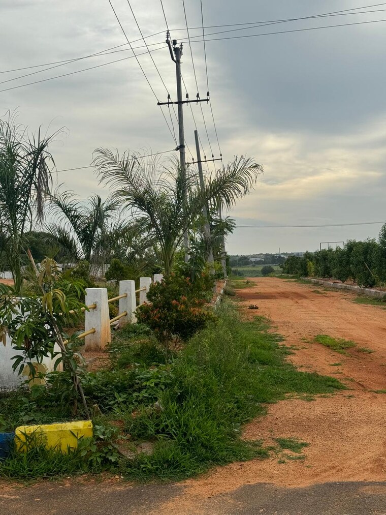 Garden, shadnagar  150 Sq.Yd. Plot In Shadnagar Hyderabad 8617772