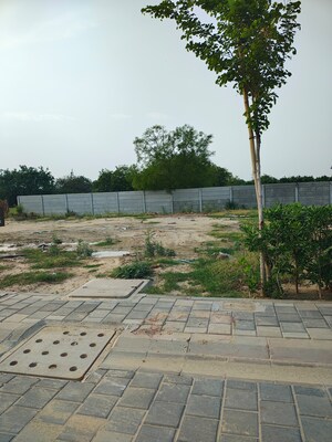  Plot For Sale in Sector 84