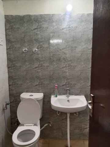 Bathroom in 2 BHK Apartment at Amrapali Dream Valley, Tech Zone 4 Greater Noida – for Rent