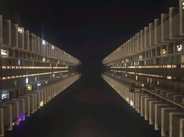 3 BHK Apartment For Rent in Lodha Parkside