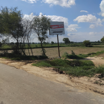 Plot Area in  Plot at Sector 6 – for Sale
