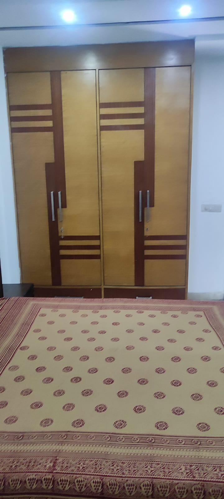 3 BHK Builder Floor For Rent in Greater Kailash I