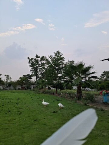 Plot Area in  Land at Amravati rd – for Sale
