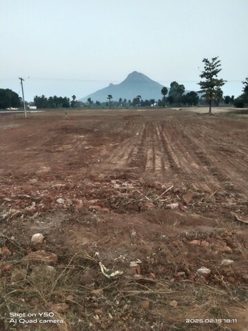  Plot For Sale in Tiruvannamalai - Thiyagadurgam Road