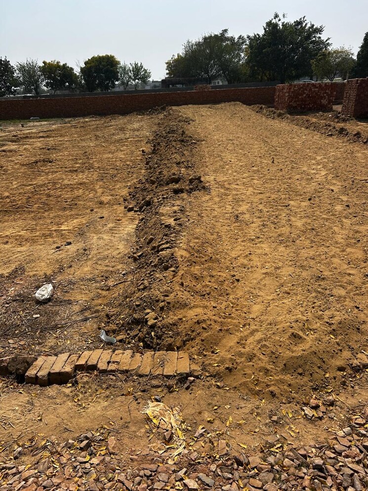 undefined, achheja  46 Sq.Yd. Plot In Achheja Greater Noida 8620059