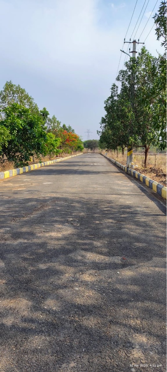 Plot For Sale in CBC Cosmopolis