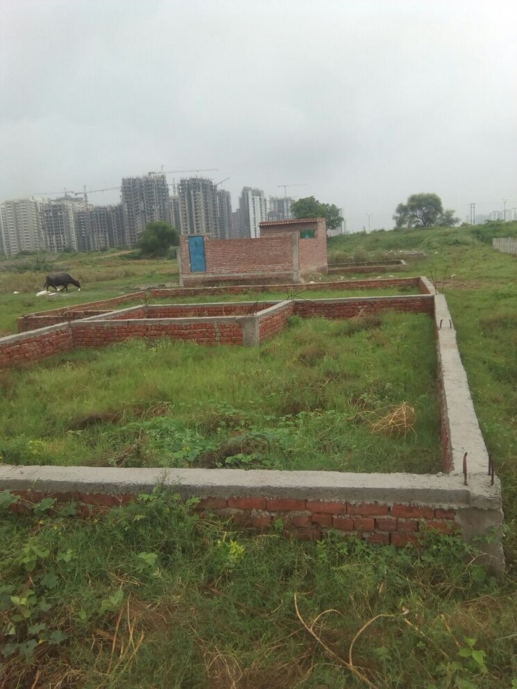 undefined, sector 140 noida  810 Sq.Ft. Plot In Sector 140 Noida Noida 8620208