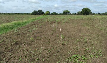Plot Area in  Plot at Bibinagar – for Sale