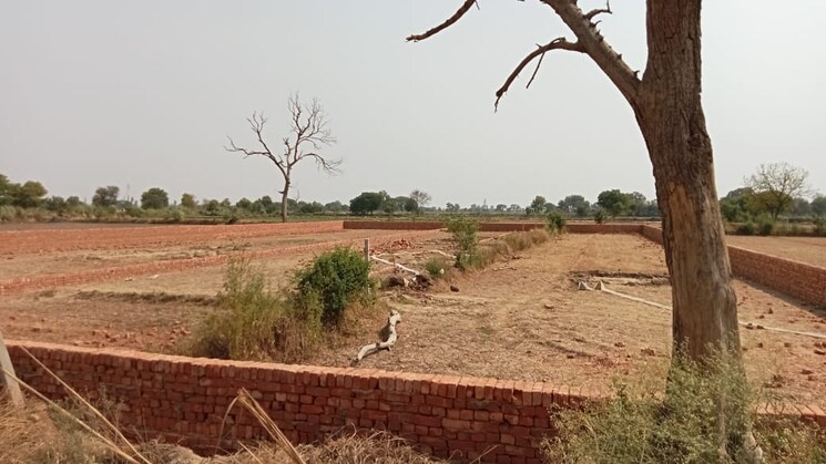 undefined, jewar  123 Sq.Yd. Plot In Jewar Greater Noida 8621178