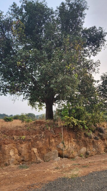  Plot – Garden View at Koroli - for Sale